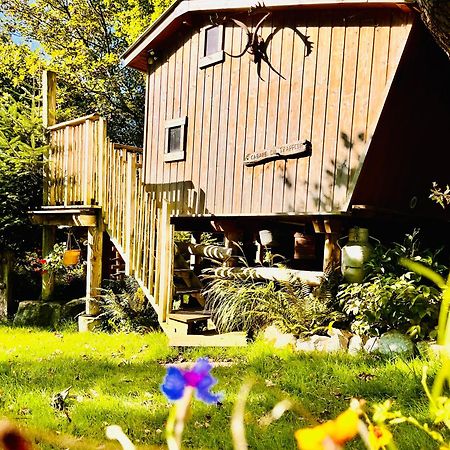 La Cabane Perchee Du Trappeur Écrainville Exterior foto